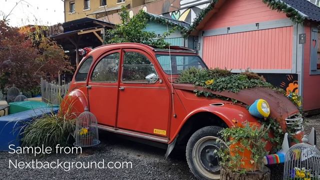 Volkswagen beetle with plants shaky camera Zoom video background смотреть онлайн