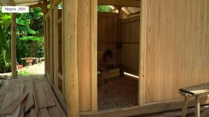 Дорис строит дом 5. Кормит карабао и обрабатывает дом от плесени.