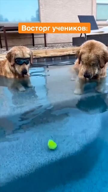 Не все упражнения вызывают восторг, но однозначно дают пользу 🙌🏼 смотреть онлайн