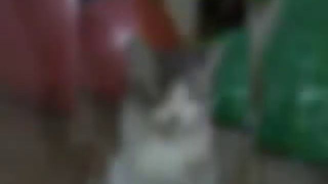 Кошаки смотреть онлайн