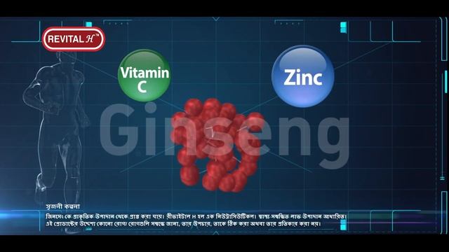 Revital H - Boost your energy & immunity with the power of Ginseng (Bengali) смотреть онлайн
