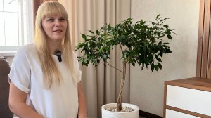 Фикус Бенджамина. Основные особенности растения и уход