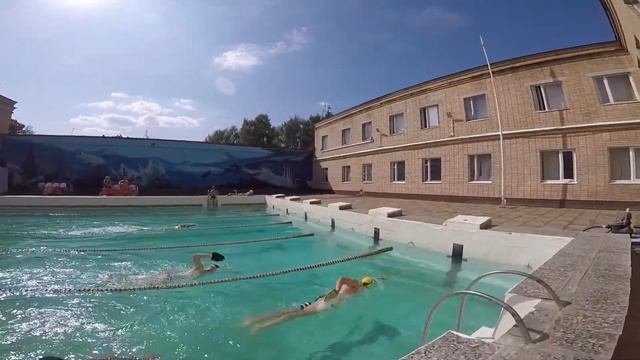 Arena flex paddles test смотреть онлайн