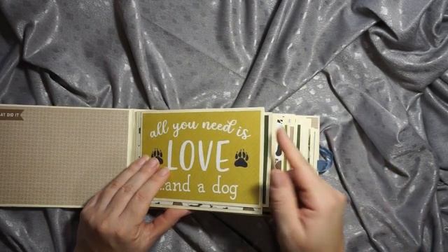 CCC DT Cut apart Feature mini album Echo Park A Dog's Tail смотреть онлайн