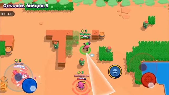 Шок! Выбил тару из бесплатного сундука brawl Stars смотреть онлайн
