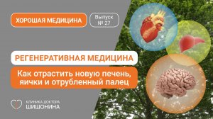 Как отрастить новую печень, яички и отрубленный палец. Регенеративная медицина академика Ткачука