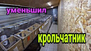 Обзор на уменьшенный крольчатник. Новый МИНИ крольчатник.