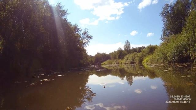 0000000 00000020230801153118 0013 смотреть онлайн