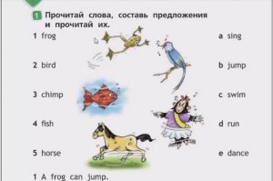 SPOTLIGHT 2 учебник 2 часть страница 6 (64)