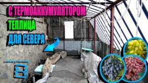 НОВЫЙ ПОДХОД К КОНСТРУКЦИИ ТЕПЛИЦЫ ДЛЯ ВИНОГРАДА. СЕВЕРНЫЙ ВИНОГРАДНИК 25-01