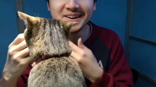 シャオミの小さくてかわいい髭剃り買ったんだけど、微妙でした 。太いひげは剃れません。【電動シェーバー】 смотреть онлайн