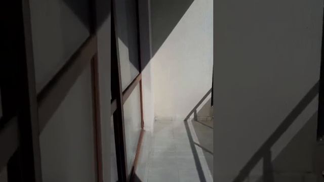 Изгоден двустаен апартамент в Равда за инвестиция смотреть онлайн