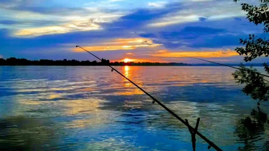 Мой фарм на Оби