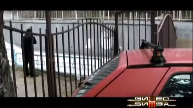 приколы 2017 года смотреть онлайн