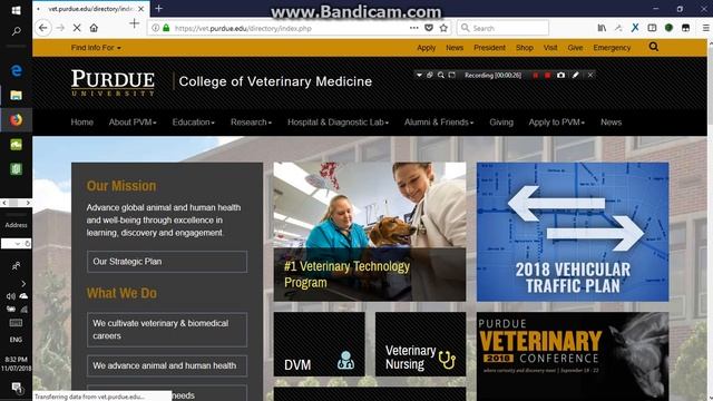Xss Challenge Video Solution смотреть онлайн