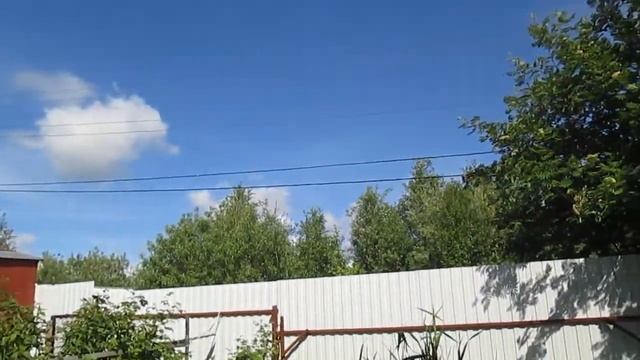 Пение птиц в моём саду смотреть онлайн