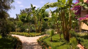 лонисера ворлд отель 4 аланья турция отзывы