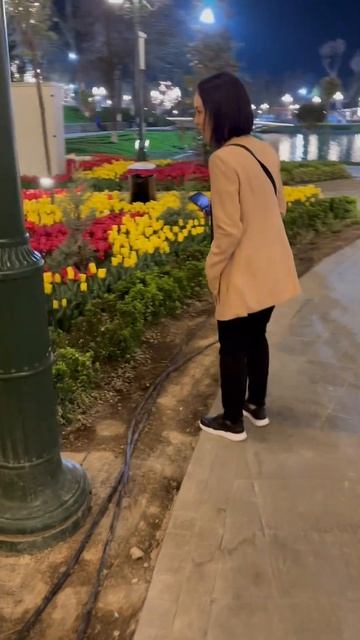 Тюльпаны в Миллий бог🌷🌷🌷 смотреть онлайн