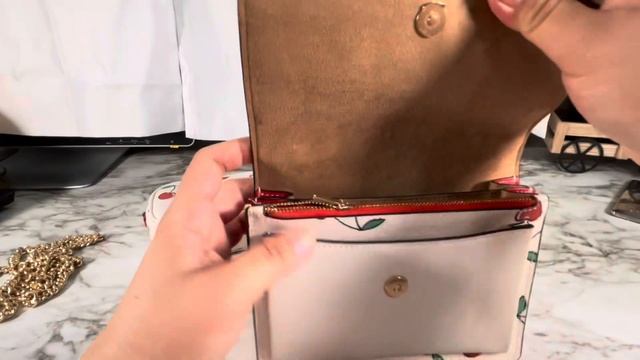 Let’s Compare! Coach Jaime -vs- Mini Klare Crossbody Bag |Dimensions, What Fits, Up Close RaqReview смотреть онлайн