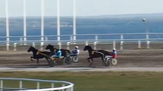 6 Октября 2017 8 Заезд Открытый приз смотреть онлайн