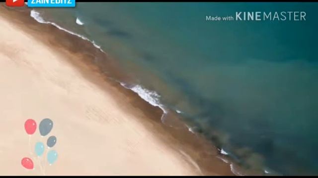 Jacki Chan K Fan Ll Whatsapp Status Ll Made By Hanzla Mughal Ll Song Of Teefa In Trouble