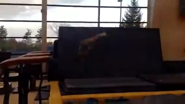 Talia vault смотреть онлайн