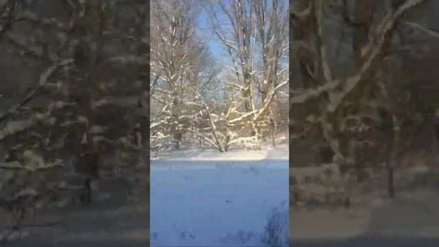 Село Коржовка-Голубовка зима 2019 смотреть онлайн