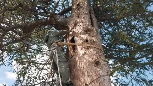 Башкирия смотреть онлайн