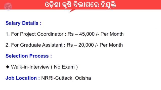 ICAR NRRI Cuttack Recruitment 2022 | Odisha Agriculture Office Recruitment 2022 | ICAR New Vacancy смотреть онлайн