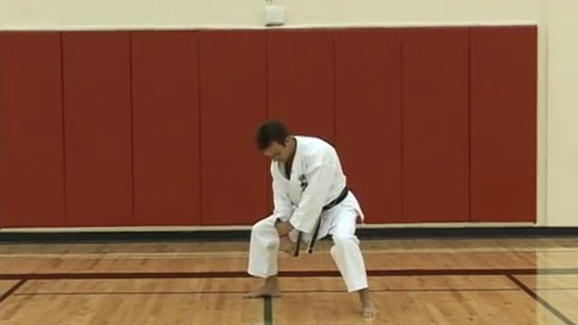 Gankaku Sho Commentary смотреть онлайн