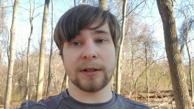 Onion Chives vs. Field Garlic - Cultivated vs. Wild Edible смотреть онлайн