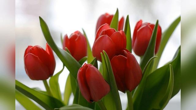 С международным женским днем 8 Марта