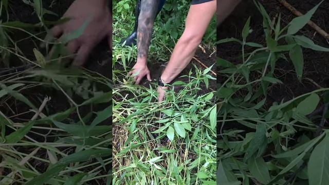 2 августа 2022 г. смотреть онлайн