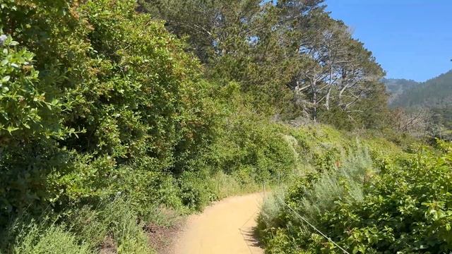 США 🇺🇸 Природа в Калифорнии / Любимые места в Калифорнии смотреть онлайн