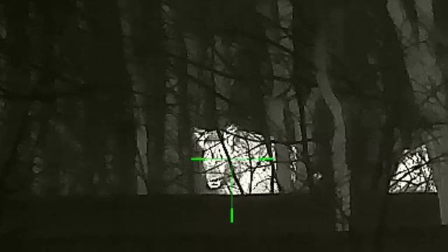 Охота на кабана встреча на тропе смотреть онлайн