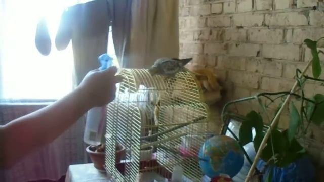 спасаем рроки от жары смотреть онлайн