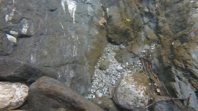 Yi lite action cam underwater on Peloritani Mountain's creek. Sicily island смотреть онлайн