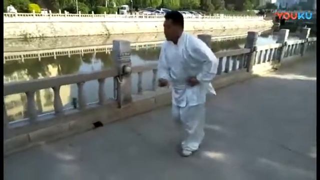 Song Shi Xingyi Quan/Сун Ши Синъи Цюань (宋氏形意拳), Cheng Wenxin (程文新), Wu Xin Quan (五行拳) смотреть онлайн