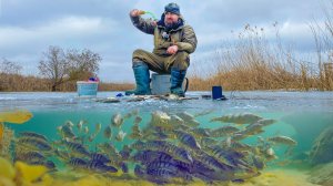 ОПУСТИЛ КАМЕРУ ПОД ЛЕД И УДИВИЛСЯ! ТУЧИ РЫБЫ ПРЯМО ПОДО МНОЙ! ЗИМНЯЯ РЫБАЛКА 2025!