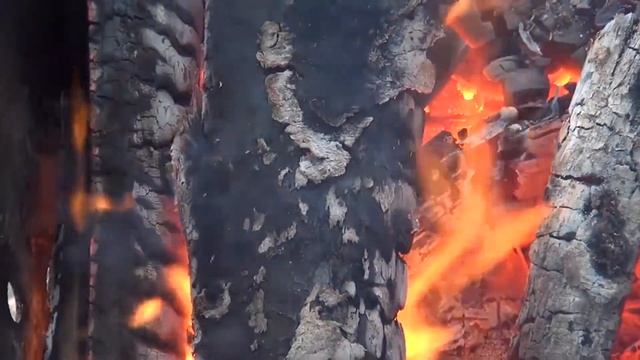 Догорающий костёр (стихотворение В. Гаазова) смотреть онлайн