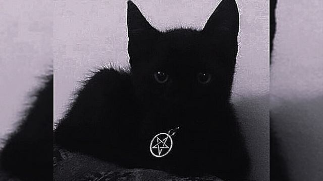 да я русский -speed un смотреть онлайн