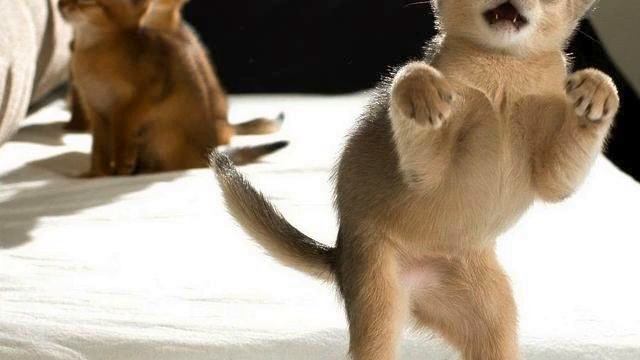 Новая музыка в машину в отличном качестве смотреть онлайн