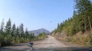 Колыма. Дорога на Омсукчан, август 2023.