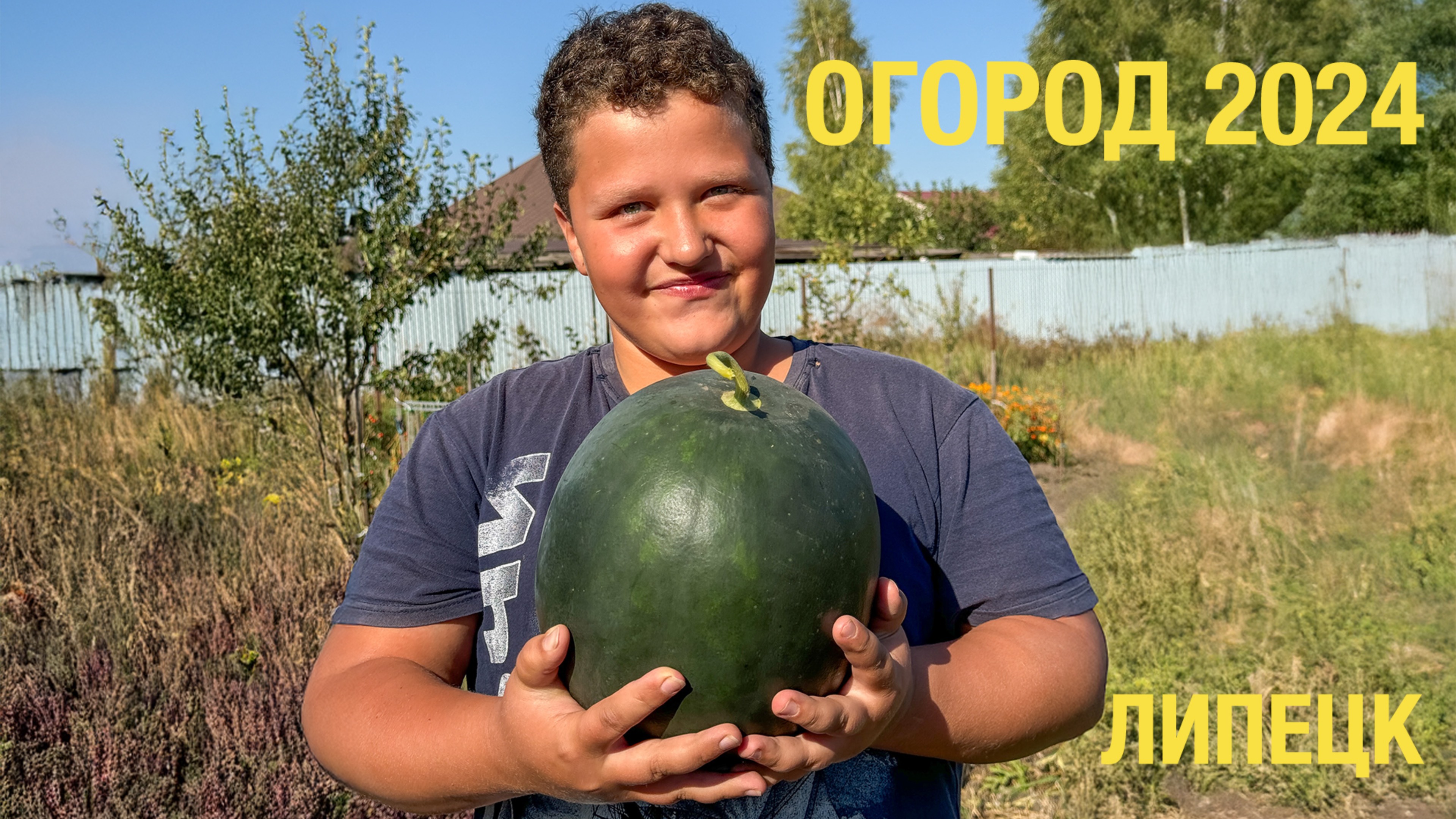 Огород в Липецке 2024