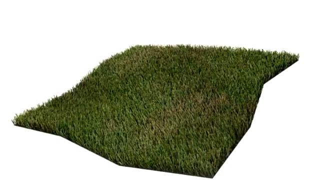 Animated Grass Test in Blender смотреть онлайн