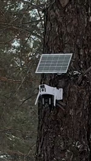 4G видеокамера на солнечной батареи (тест)