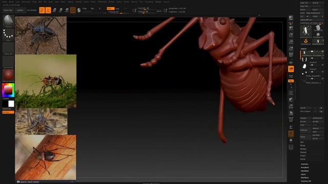 The creation of Steampunk Acanthoplus discoidalis with Zbrush 2018 смотреть онлайн