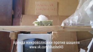жук грызущий древесину Киров