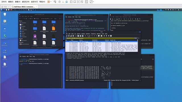 VAPTDEMO_s46768698_CVE-2016-6309 смотреть онлайн