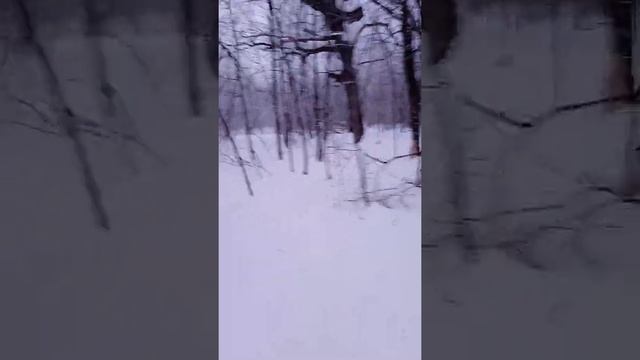 новая эра: весна в лесу смотреть онлайн